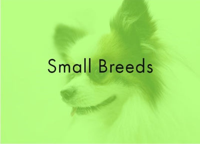 Small Breeds